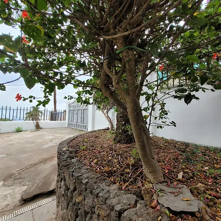 Casa Mariposa Monarca 2 公寓